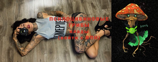 mix Новодвинск